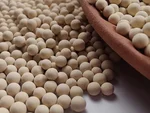 13X Molecular Sieve (Zeolite 13X)